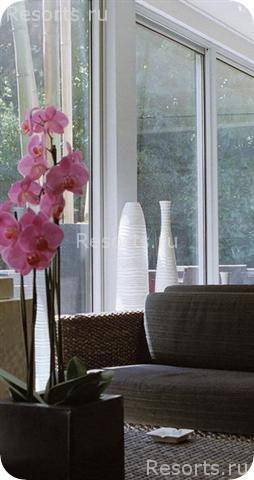Hotel Cezanne 6
